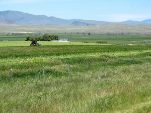 Montana farm