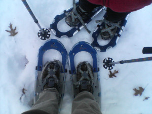 snowshoes