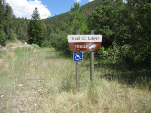 Trout Creek Canyon Trail