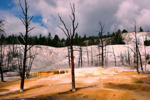 Yellowstone Sunset