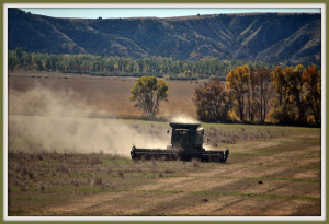 Montana Agriculture