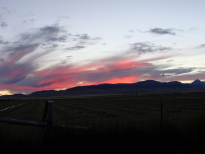 Montana Sunset View