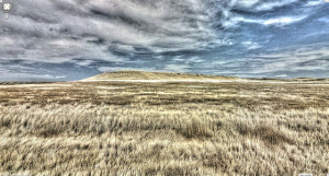 Montana Grasslands