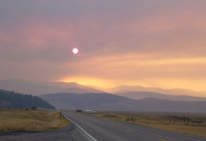 Montana Sun