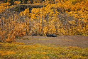 Montana in the Fall