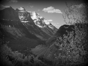 Going to the Sun Road