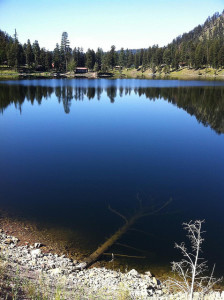 Salmon Lake Montana