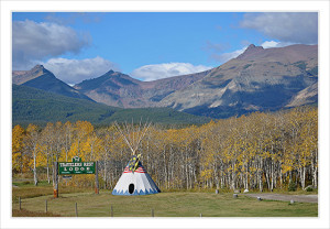 Star Spangled Wig Wam Glacier National Park