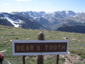 Bears Tooth